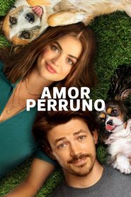 Amor de cachorros (Puppy Love)